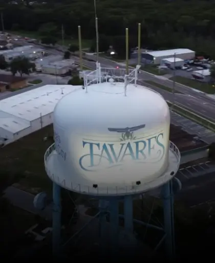 Tavares